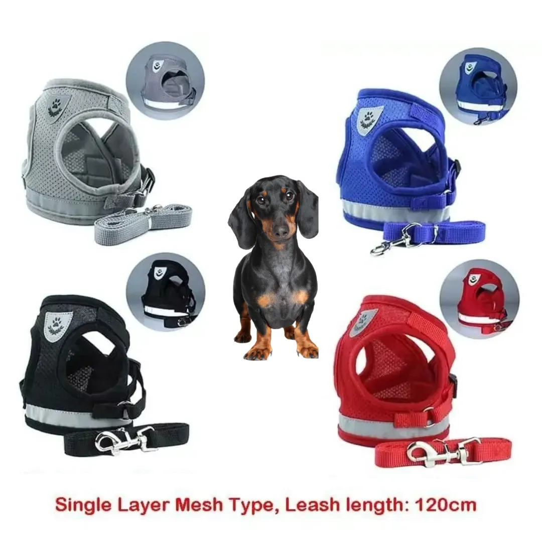 ShinePup Dachshund Reflective Harness with Leash