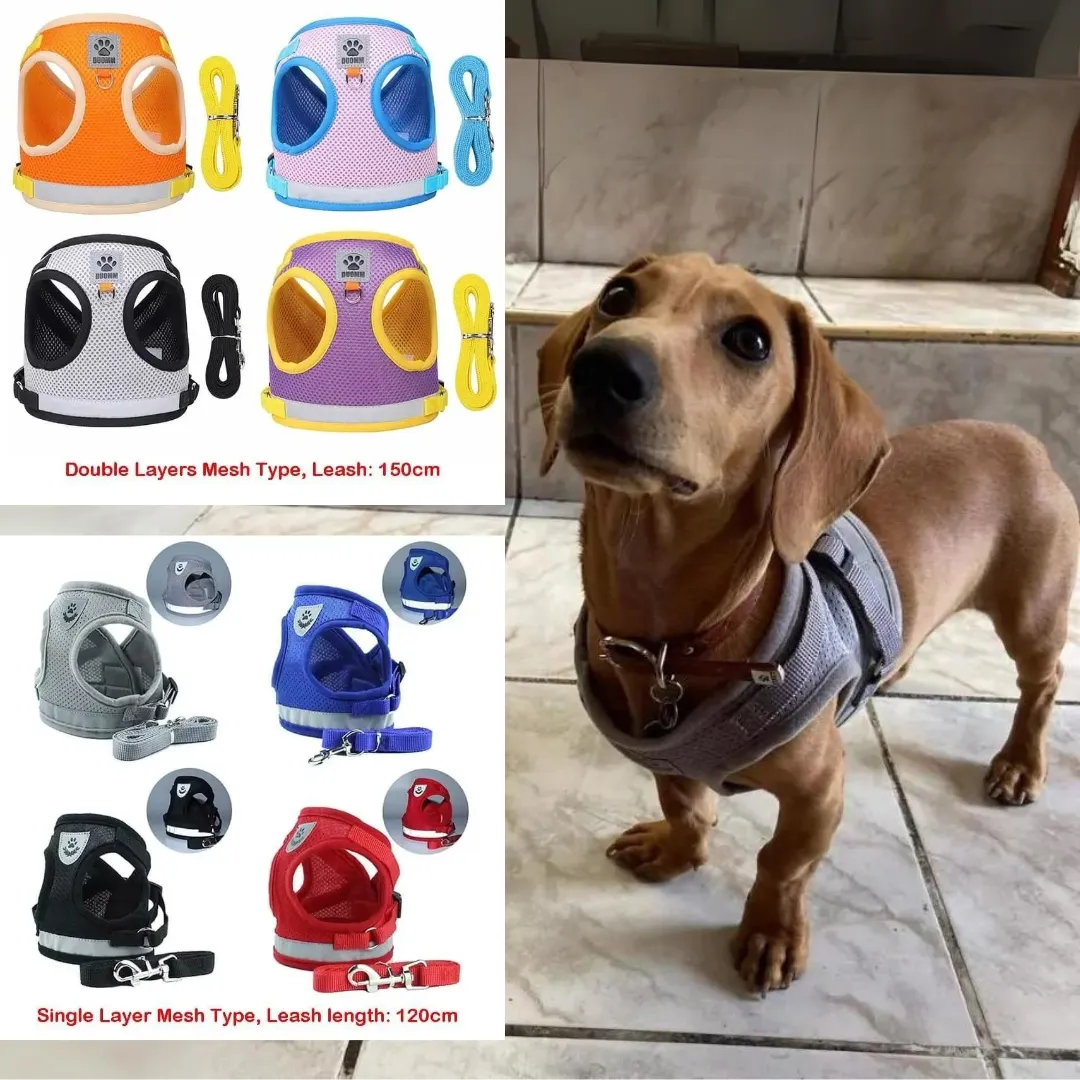ShinePup Dachshund Reflective Harness with Leash