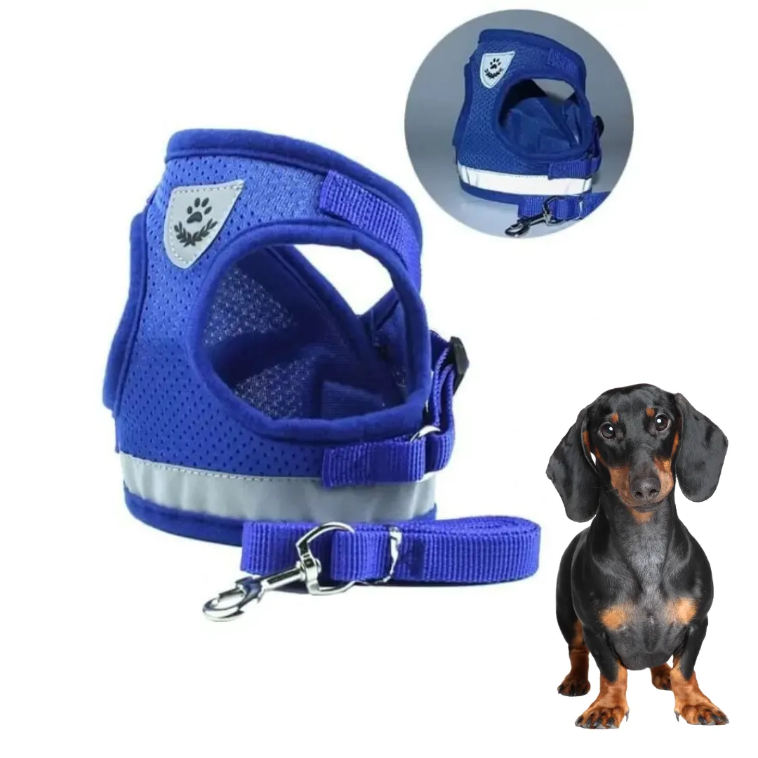 ShinePup Dachshund Reflective Harness with Leash