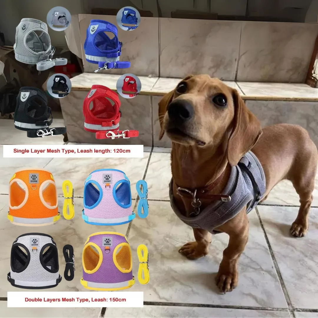 ShinePup Dachshund Reflective Harness with Leash