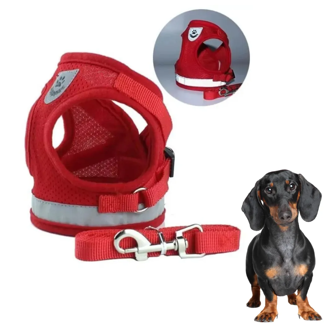 ShinePup Dachshund Reflective Harness with Leash