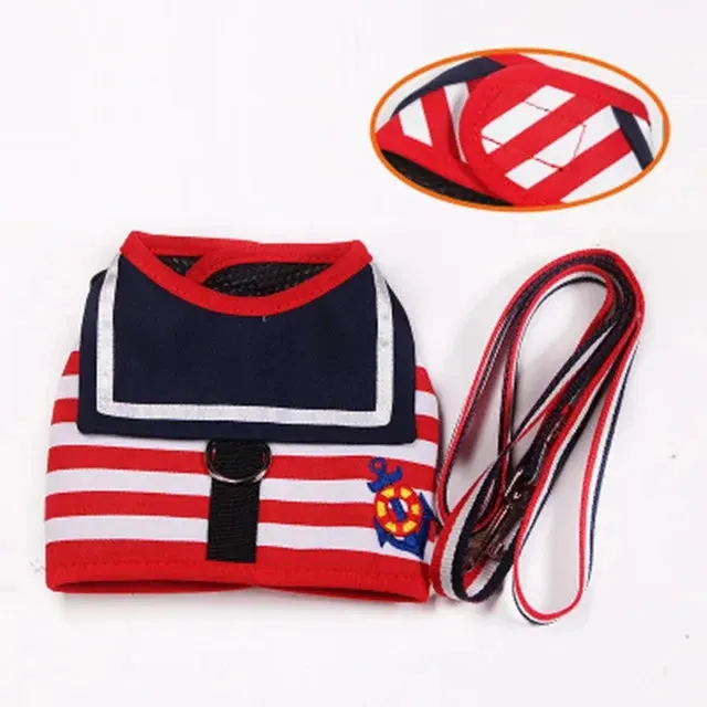 Soft Navy Leash Set for Small-Medium Dogs