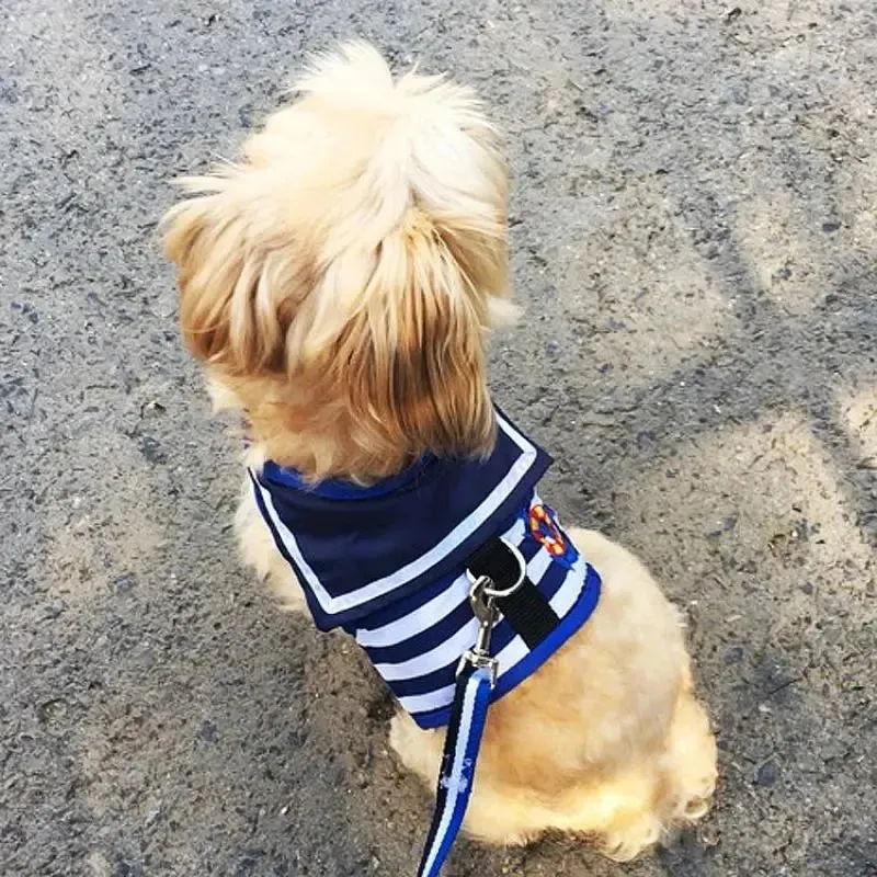Soft Navy Leash Set for Small-Medium Dogs