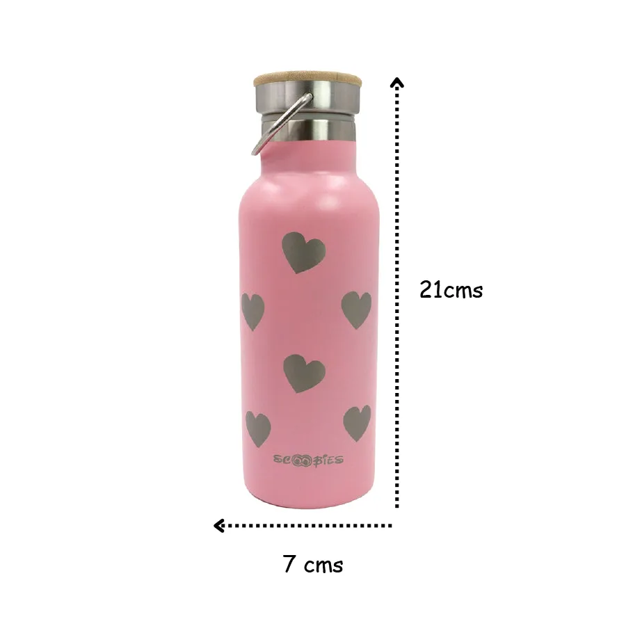 Stainless Steel Bottle - Planet Heart