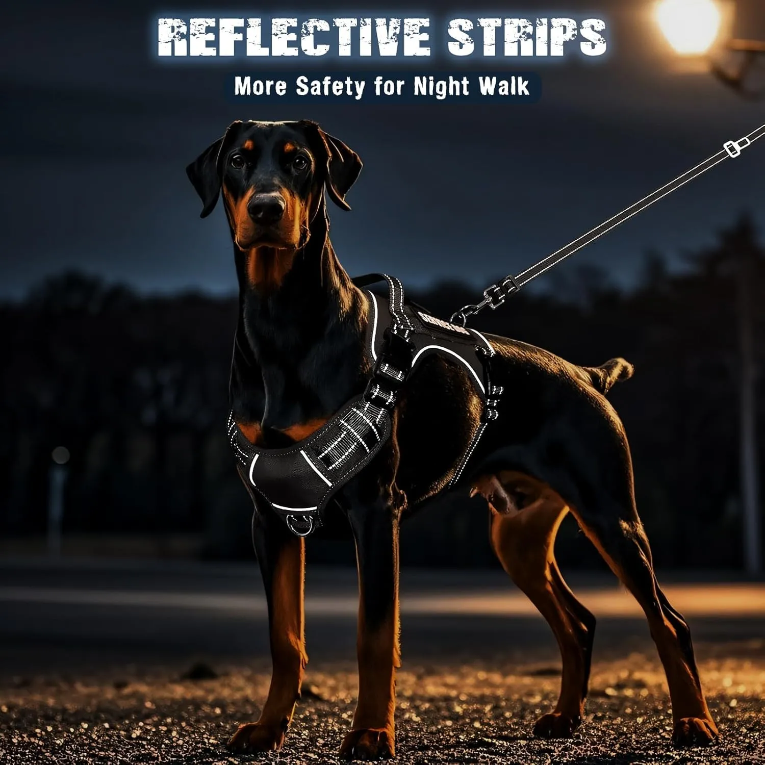Tactical Dog Harness and Leash Set for Large Dogs,Heavy Duty No Pull Service Dog Vest and 10 Patches with Dog Seat Belt,Reflective Adjustable Pet Harness for Training Walking Hiking Black L