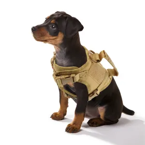 Tactical Puppy Harness Leash For Small Dogs Cats