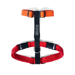 TDIT H-Harness - Colour Pop Collection - Orange/Black/Red