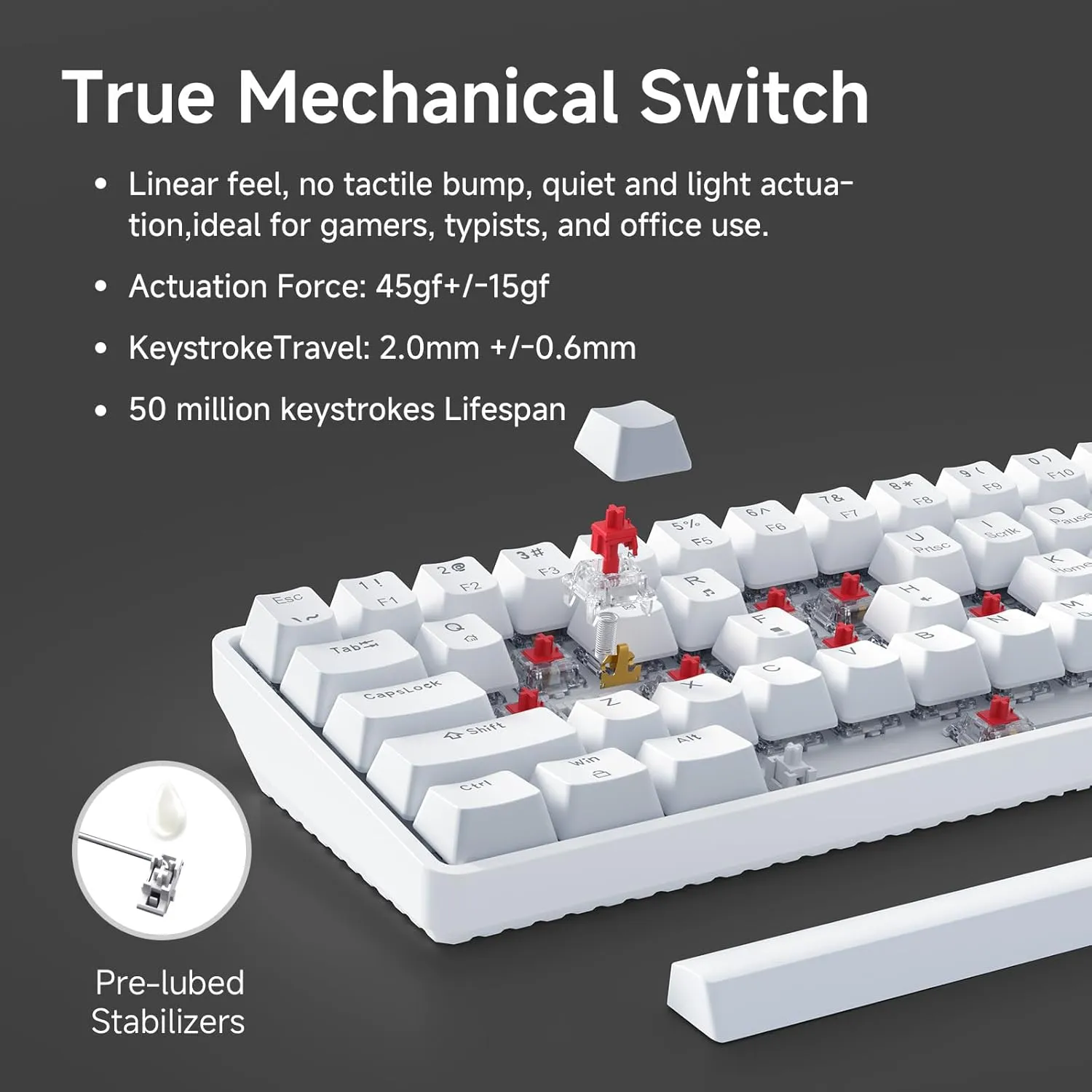 TMKB 60% Mechanical Gaming Keyboard, Red Linear Switch, LED Backlight, Anti-Ghosting, Detachable USB-C, Double-Shot Keycaps, 61 Keys, Wired, White
