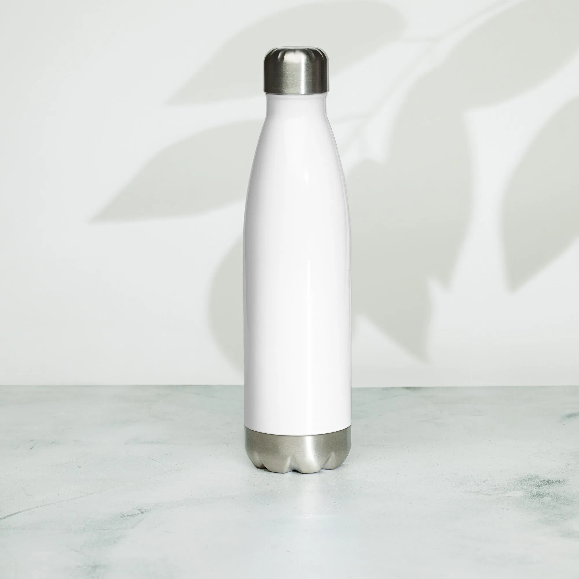 TRI DIS Stainless Steel Water Bottle
