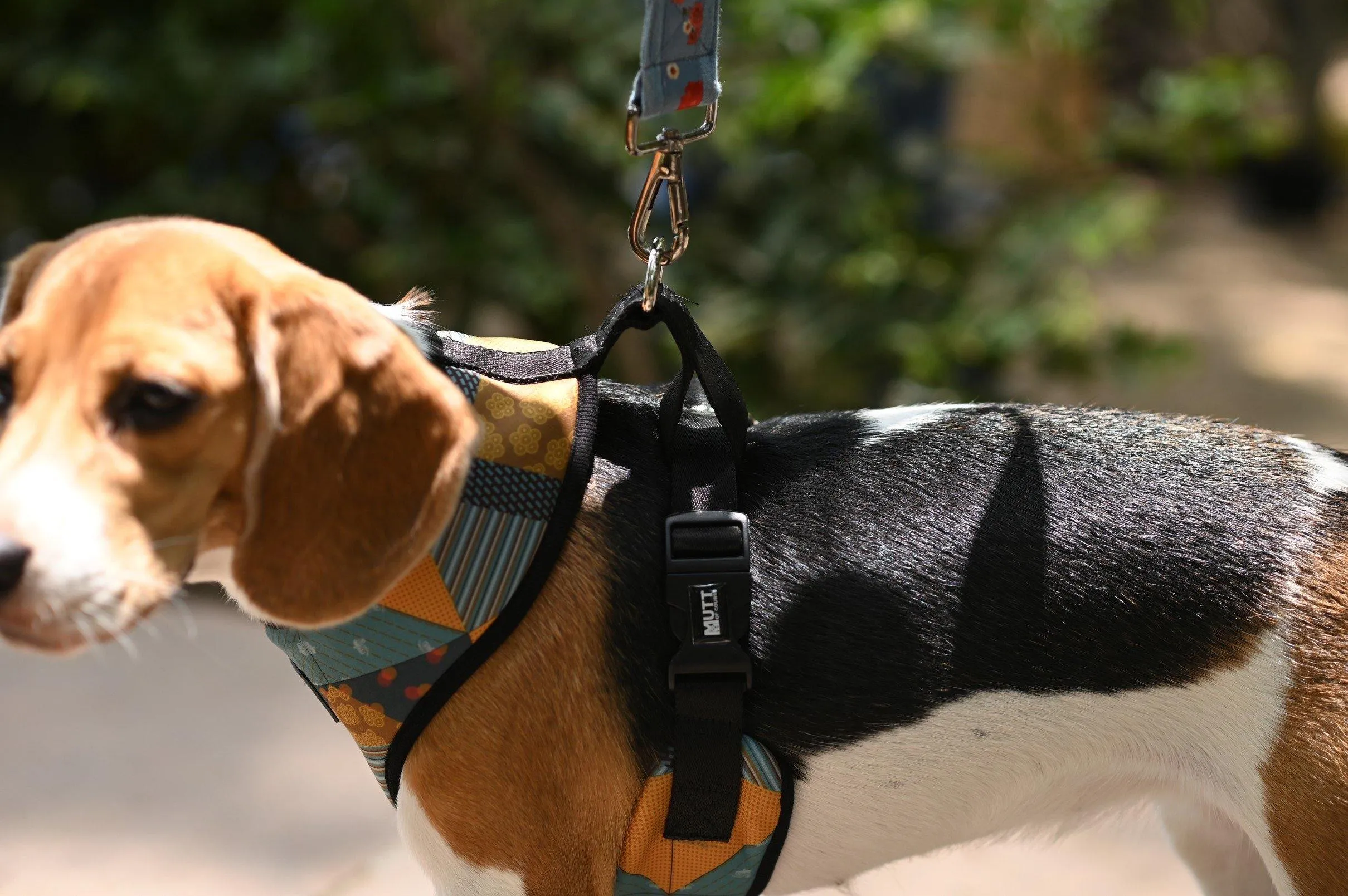 Tricky Turkey Vest Harness