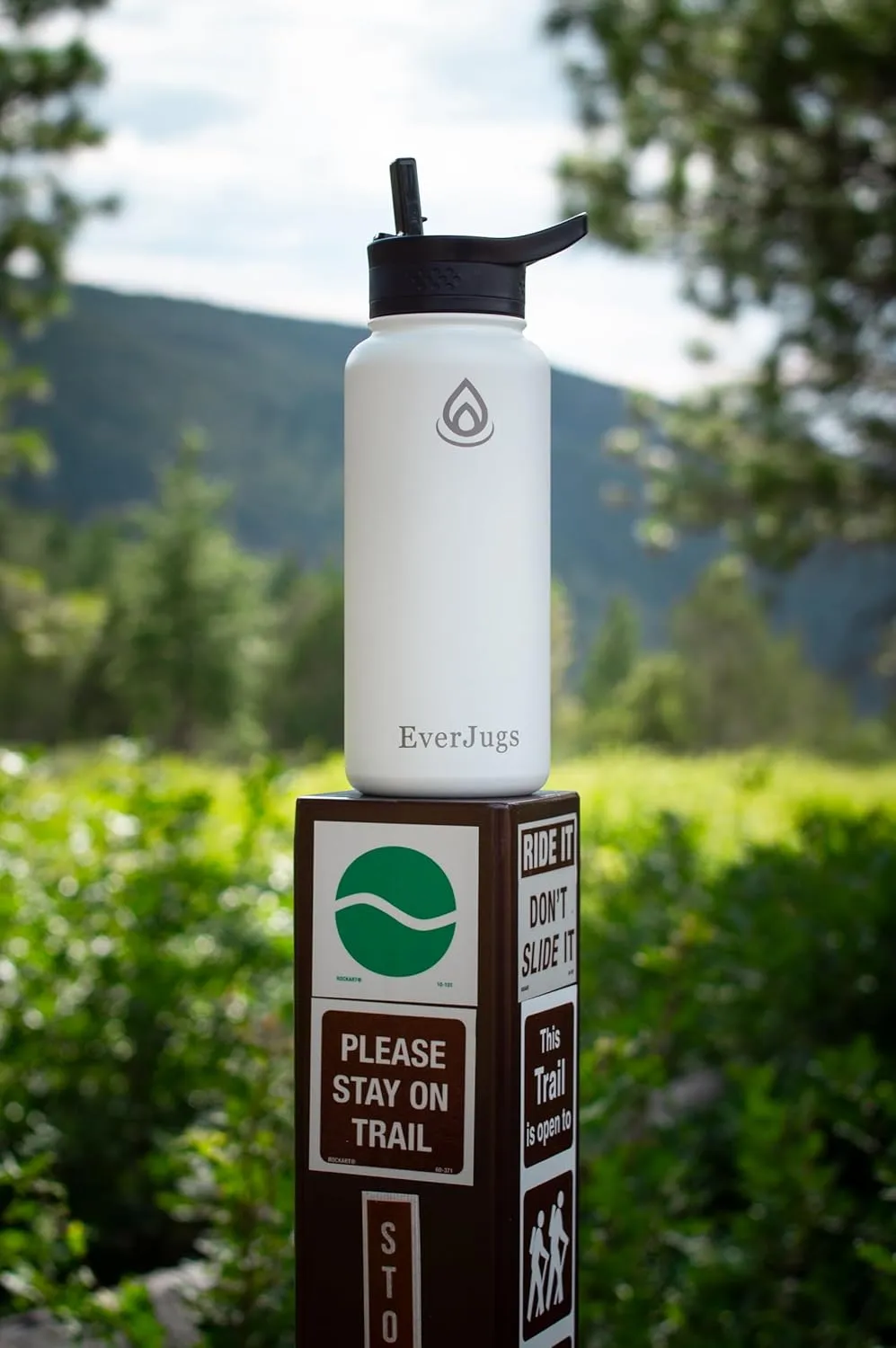 Water Bottle - 32 Oz, Wide Mouth, Premium Stainless Steel Bottle with Straw Lid, Double Walled Vacuum Insulated, Thermo Mug, Metal Flask, Leak Proof, Eco-Friendly