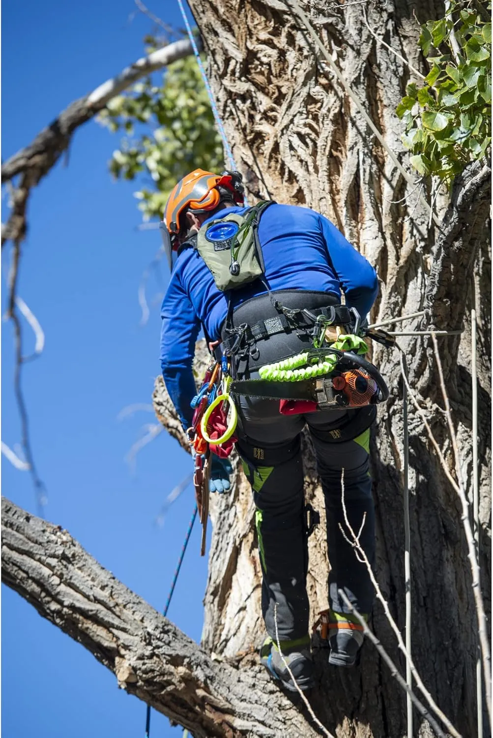 Weaver Arborist Cougar Tree Saddle Harness, Memory Foam Arborist Saddle with Back and Leg Support Straps, Professional Tree Climbing Gear