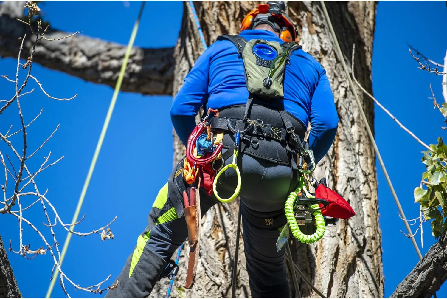 Weaver Arborist Cougar Tree Saddle Harness, Memory Foam Arborist Saddle with Back and Leg Support Straps, Professional Tree Climbing Gear