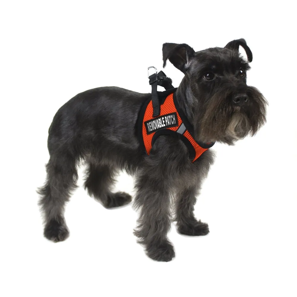 York Mesh Harness   Built-in Hook & Loop Fasteners