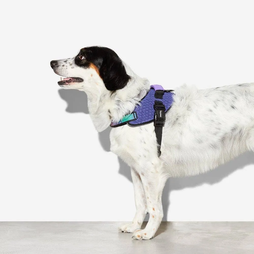 Zee.Dog - Wicked | FlyHarness: Size 5