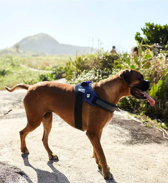 Zee.Dog - Wicked | FlyHarness: Size 5