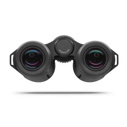 Zeiss SFL 8x40 Binoculars